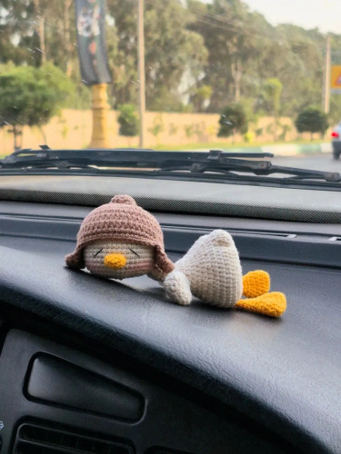 روداشبوردی طرح اردک