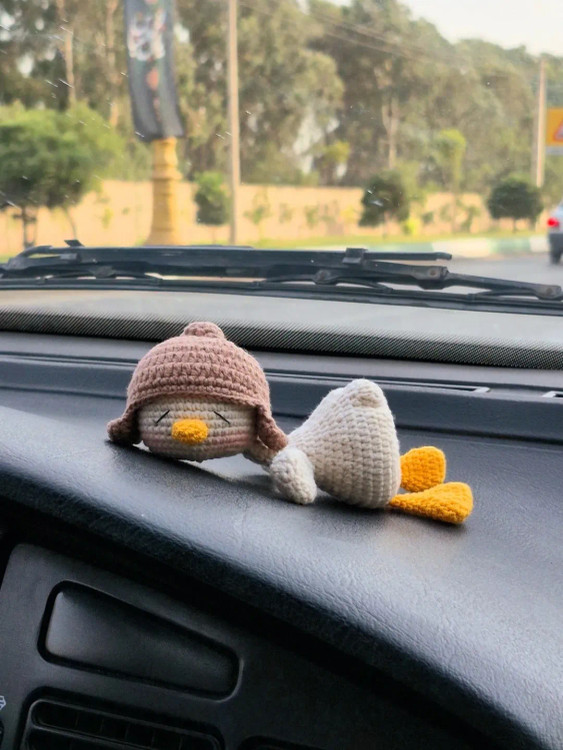 روداشبوردی طرح اردک